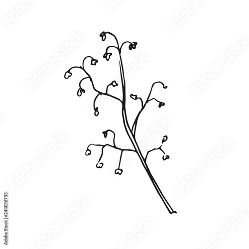 branch vector doodle sketch isolated on white background
