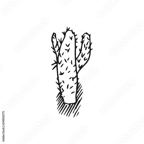cactus vector doodle sketch isolated on white background
