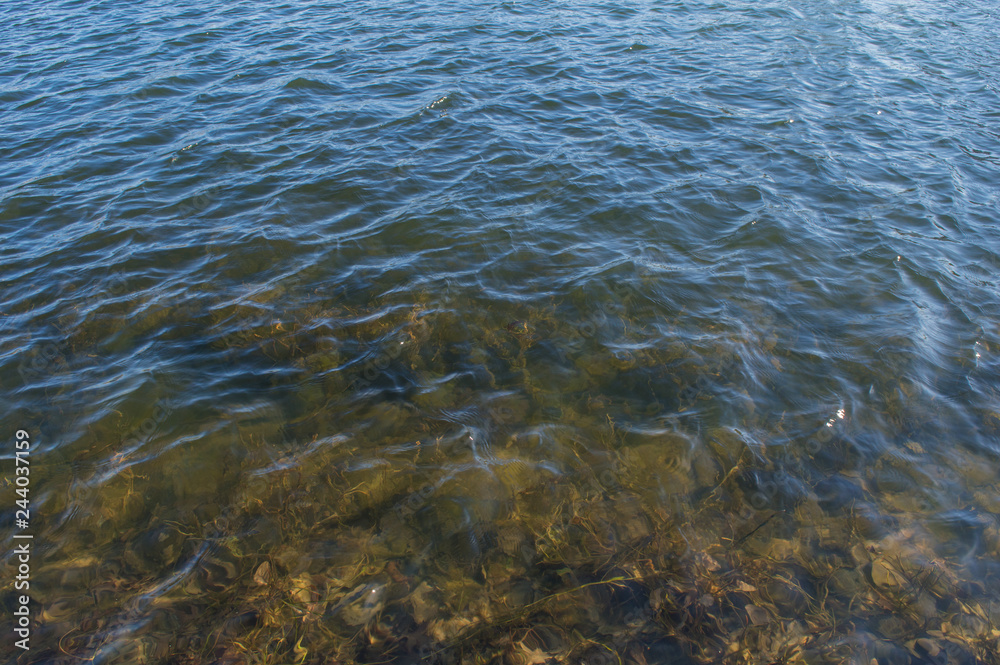 Bottom with mud through clear water