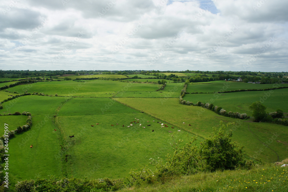 Rural views of Ireland.