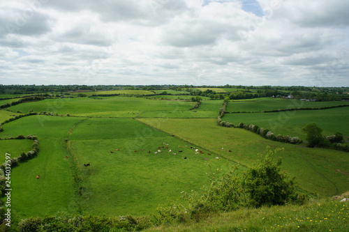 Rural views of Ireland.