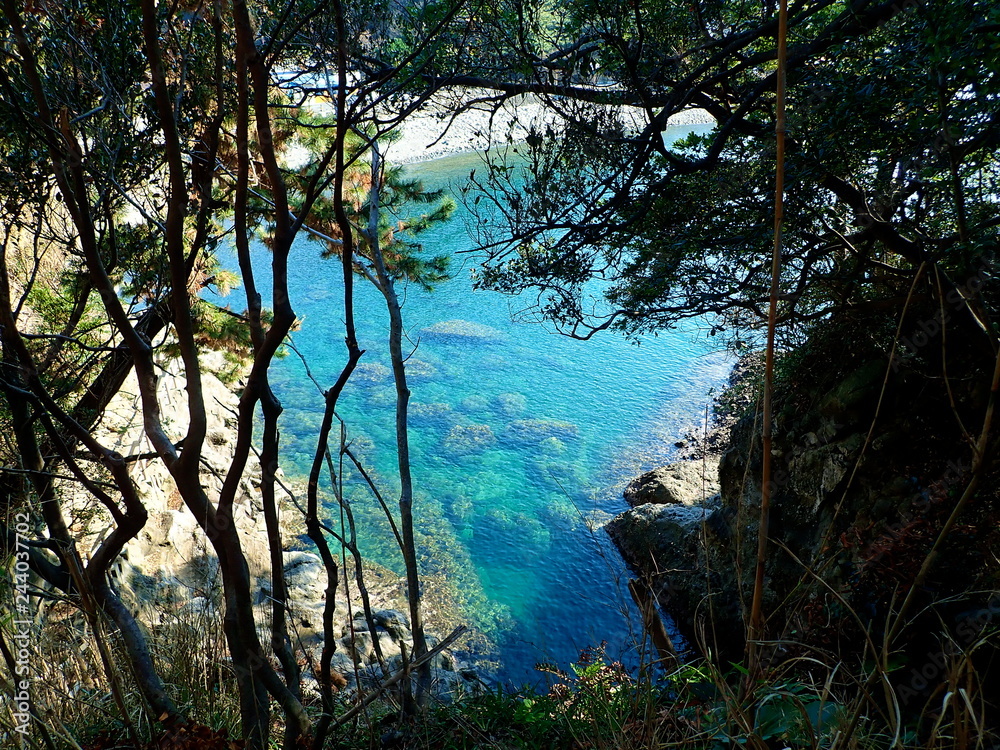 Fototapeta premium 秘密の楽園（西伊豆 浮島海岸）