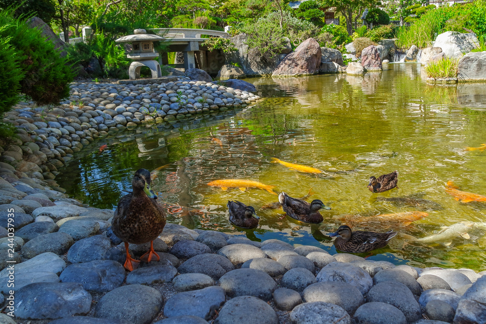 Japanese garden near Monte Carlo, Principality of Monaco