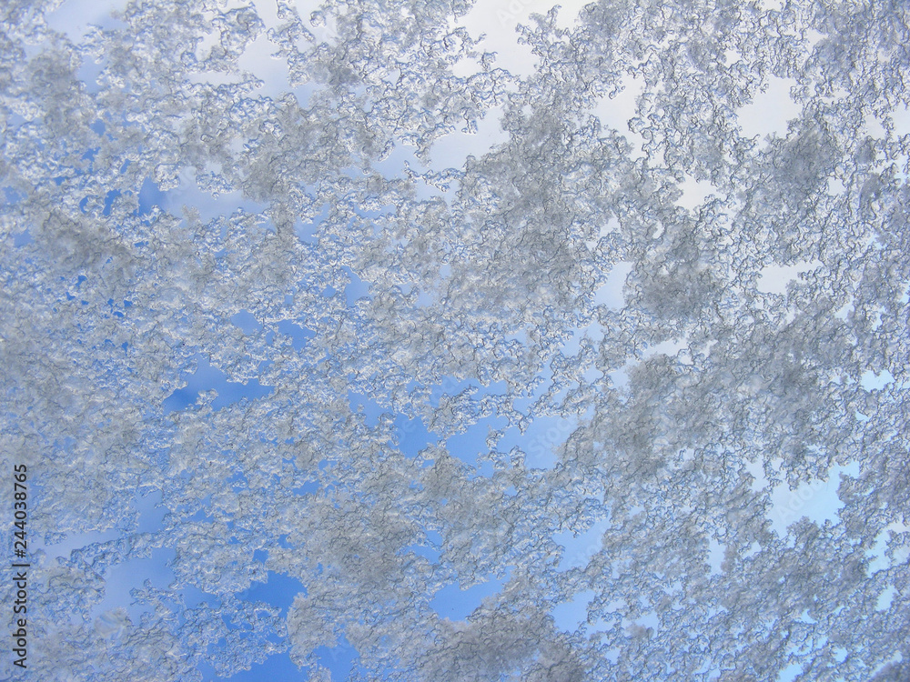 Obraz premium Snow on a glass window