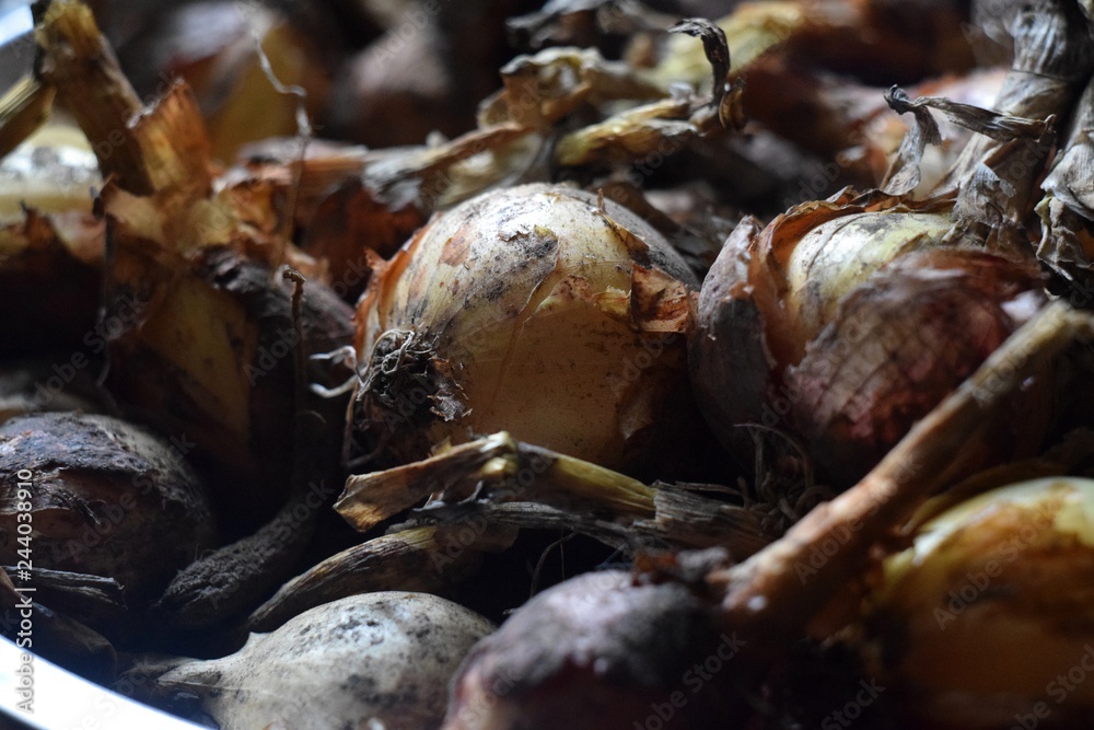 Old and dirty onions close-up Old and dirty onions close-up