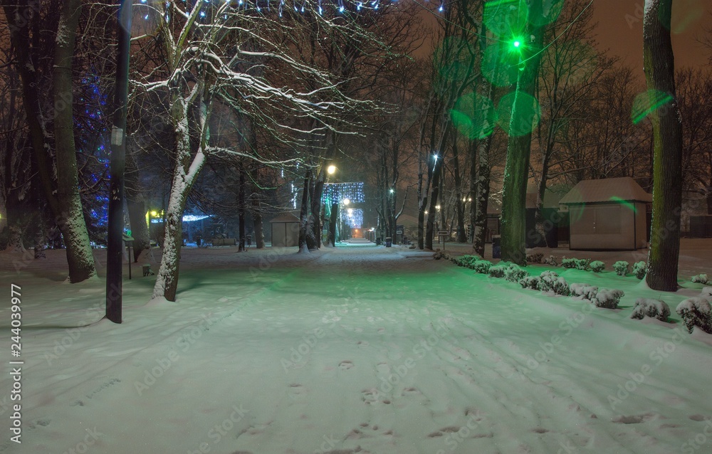 Winter night alley in the park with LEDs