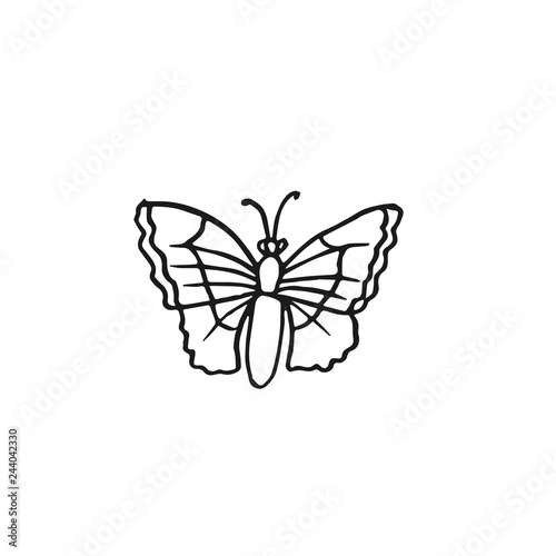 butterfly vector doodle sketch isolated on white background