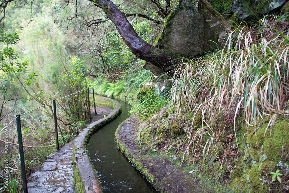 Madeira, Levada 25 Fontes bei Rabacal Madeira, Levada 25 Fontes bei Rabacal