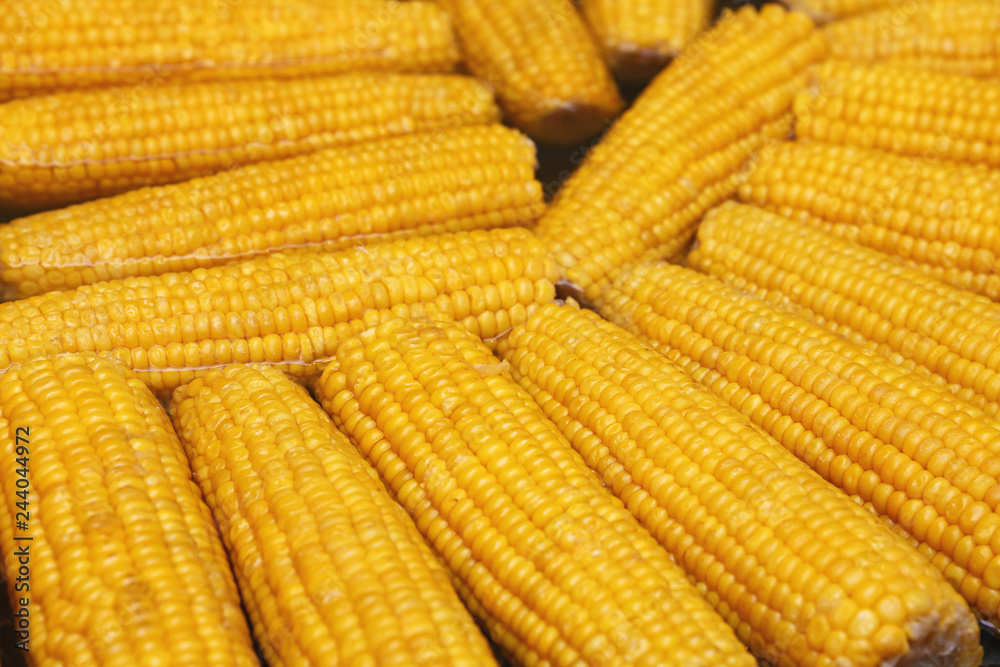 Close up boiling fresh corncobs Close up boiling fresh corncobs