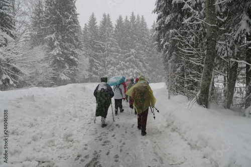 Senioren wandern im Schnee im Wald 