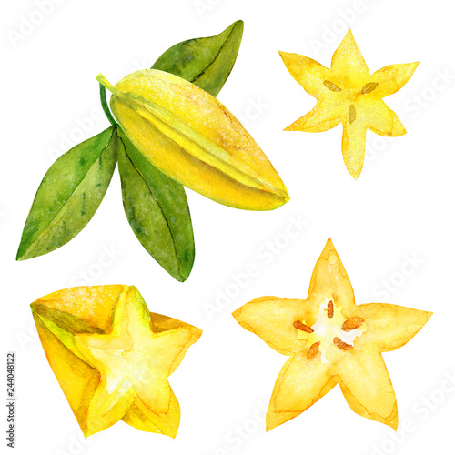 Bilde på lerret Hand drawn starfruit set