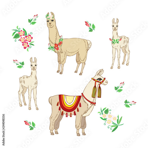  Llamas with flowers. Hand drawn seamless pattern