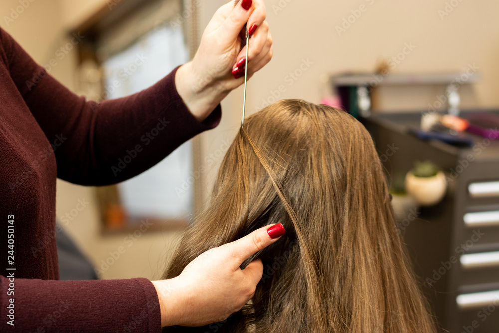 Fototapeta premium Stylist preparing brunette woman's hair for a color and highlight process