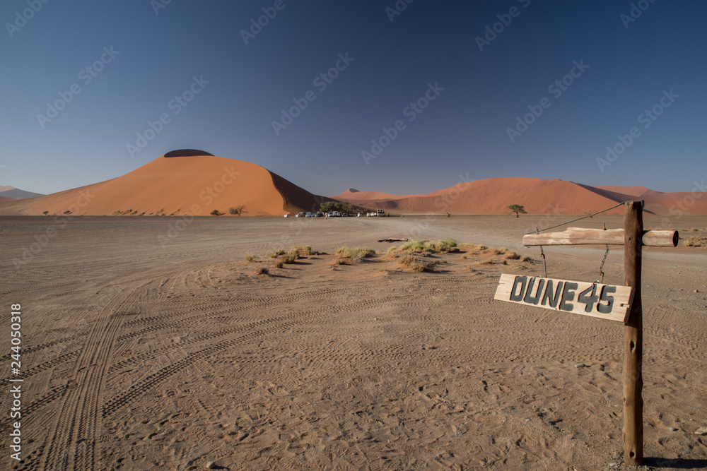 ナミブ砂漠　デューン45