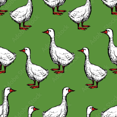Seamless pattern of the drawn geese