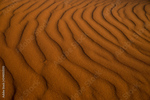 ナミブ砂漠の砂紋