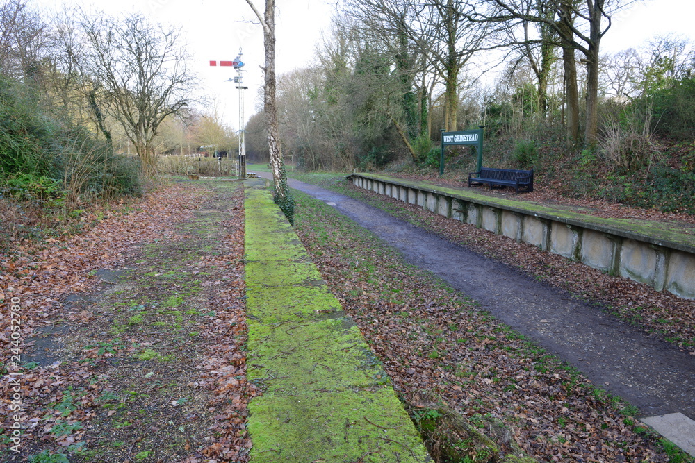 Fototapeta premium Closed and abandoned railway station at West Grinstead in West Sussex