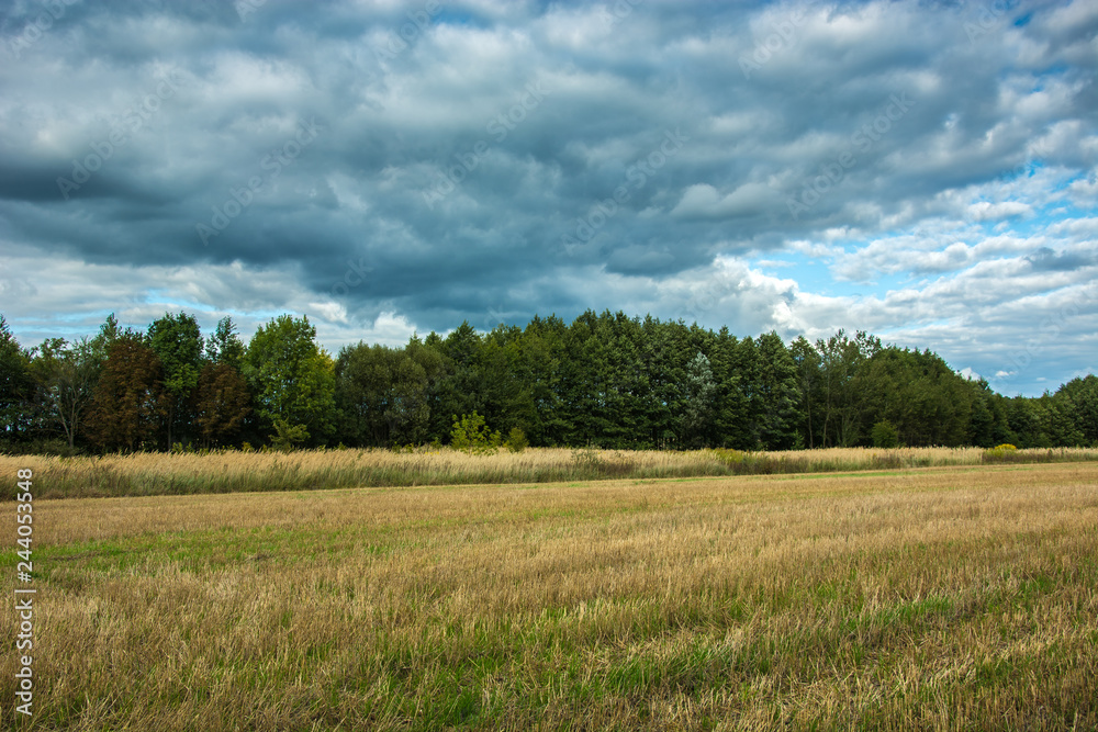 Stubble in the field, forest and dark rain clouds