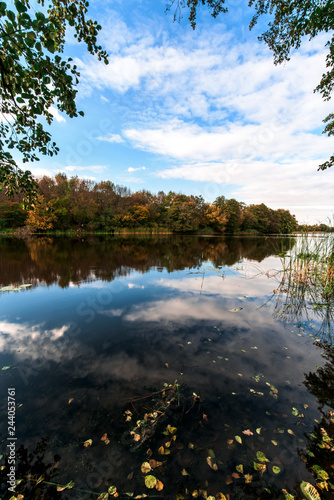 Fototapeta Naklejka Na Ścianę i Meble -  lake with trees on the shore. the mirror surface of the lake. autumn composition.