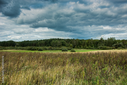 Dry grass in a meadow  green forest and dark rainy clouds