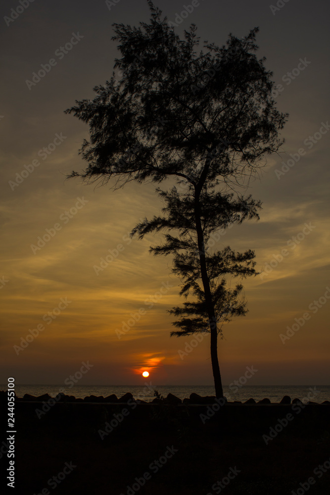 black tree silhouette against a gray purple pink sunset sky and sea black tree silhouette against a gray purple pink sunset sky and sea