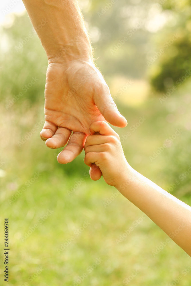 hands of parent and child in nature hands of parent and child in nature