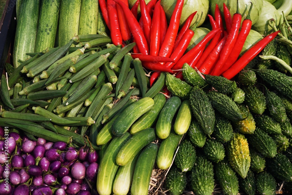 Fototapeta premium Tropical fruit and vegetable display, bitter gourd, pepper, eggplant, cucumber, okra,