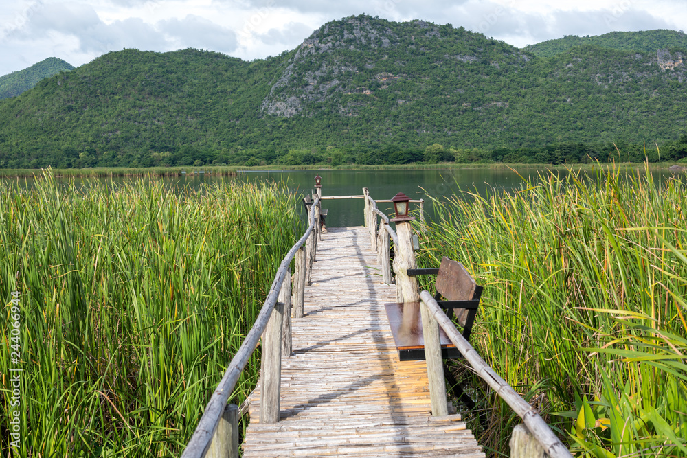 Fototapeta premium Wooden path with mountain