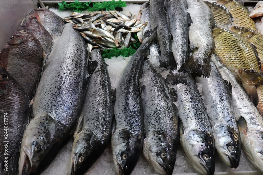 Fototapeta premium fresh fish at the market