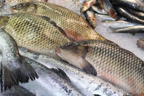Fishmongers Fresh Fish