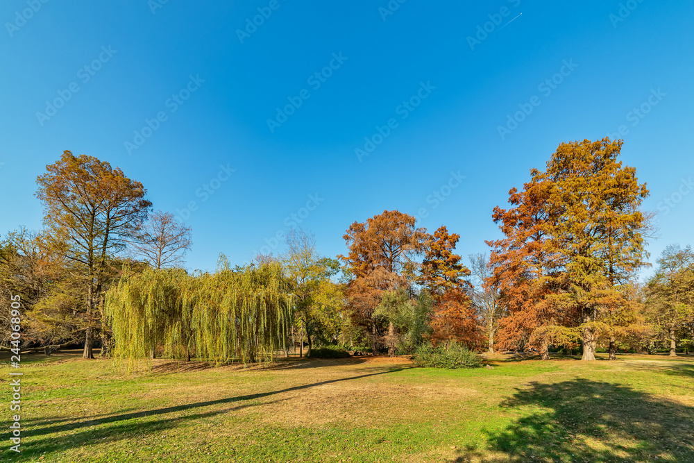 Naklejka premium A beautiful park in Novi Sad, Serbia in autumn