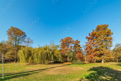 A beautiful park in Novi Sad, Serbia in autumn