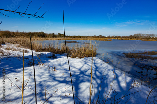 Marsh Wetlands Winter Cape May New Jersey