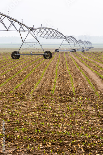 Side view of a center pivot irrigation system in a young field of corn in the french countryside by a misty spring morning.