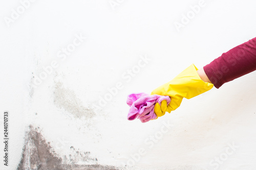 Rag with bleach to remove mold in a corner of the house