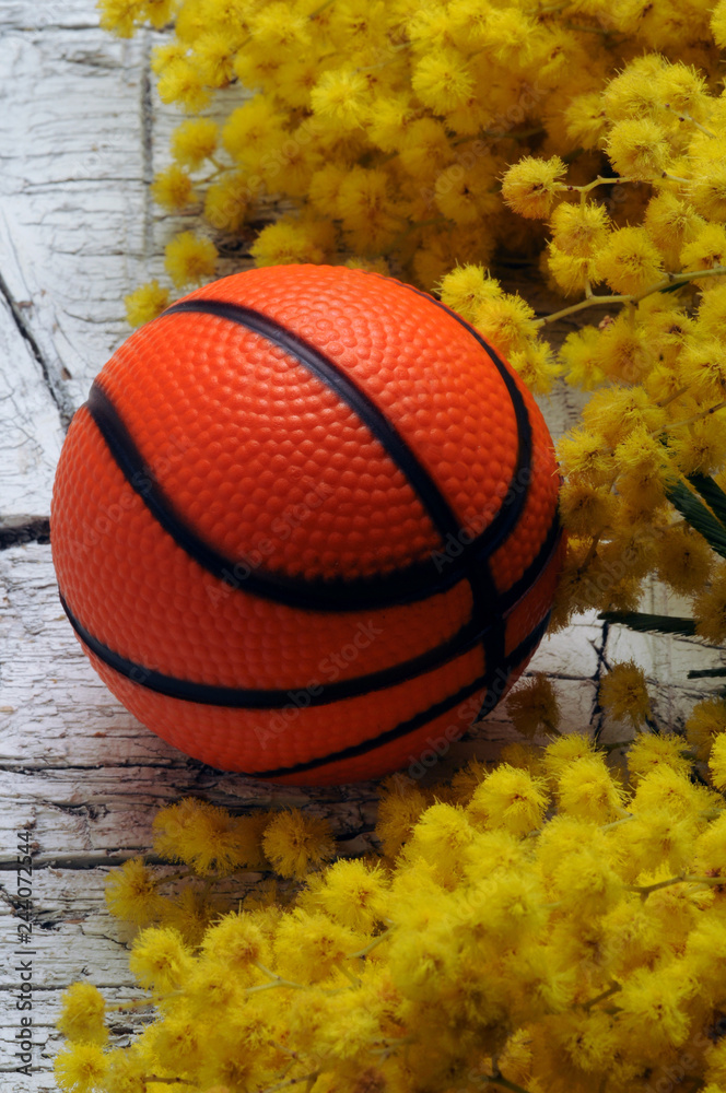 Basquetbol Pallacanestro ft8104_3104 Basket Basketball Basket-ball Košarka Basquetbol Pallacanestro ft8104_3104 Basket Basketball Basket-ball Košarka