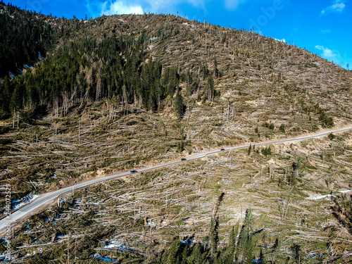 Trentino Alto Adige, Lavazè, foresta verticale dopo il passaggio del ciclone Vaia il 29 ottobre 2018 photo