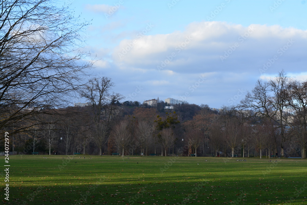 Campo en francia