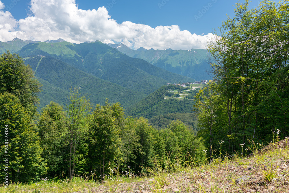 View of the hotel complex in the mountains covered with green forests View of the hotel complex in the mountains covered with green forests