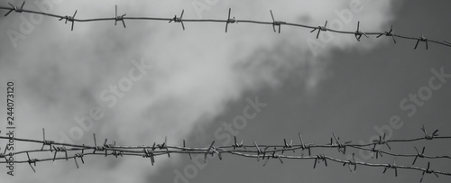 Barbed wire bottom view against the sky. Black and white photo