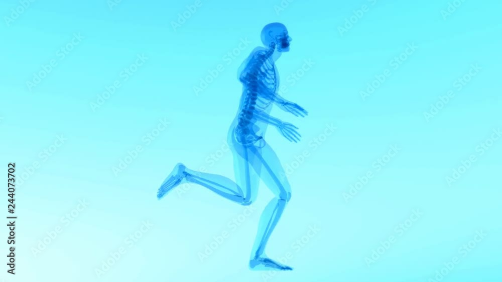 x ray 3d rendered skeletal medical animation x ray 3d rendered skeletal medical animation