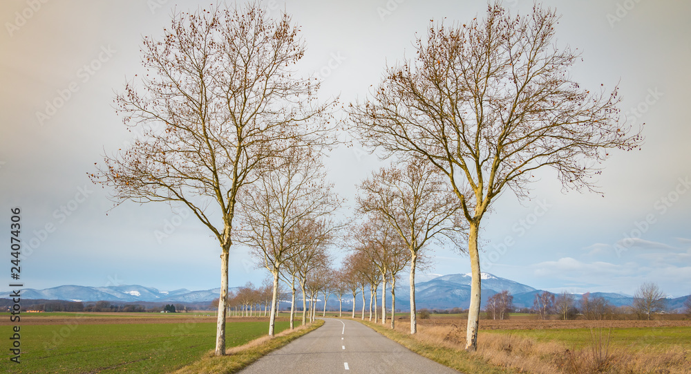 Small country road near the Vosges mountains Small country road near the Vosges mountains