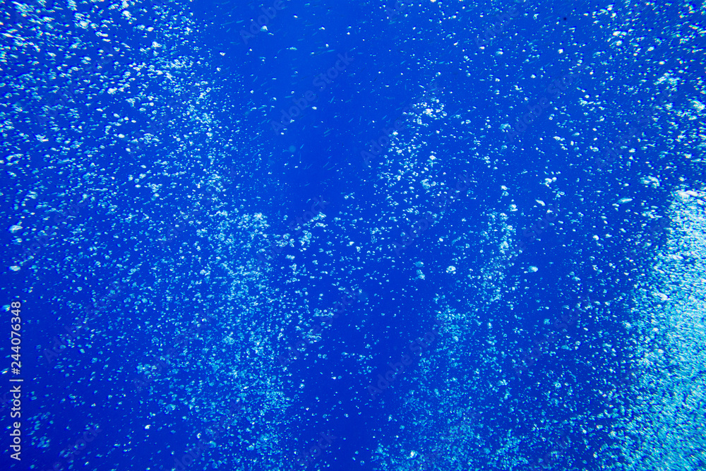 Tranquil underwater scene with copy space Tranquil underwater scene with copy space