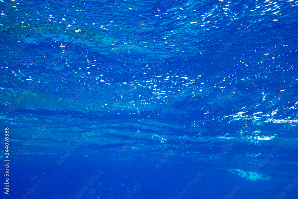 Tranquil underwater scene with copy space Tranquil underwater scene with copy space