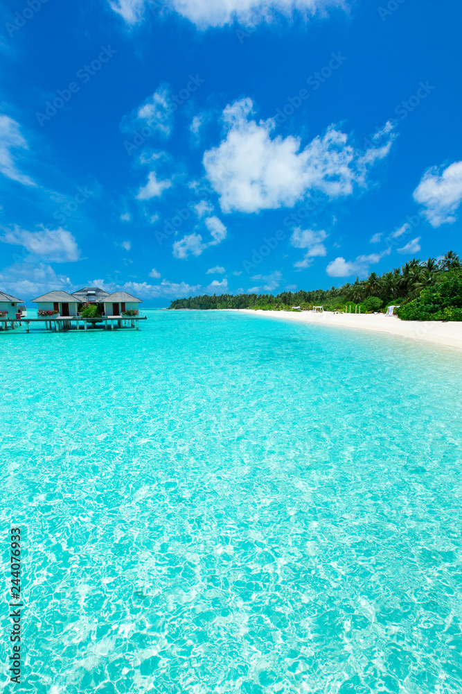 Fototapeta premium tropikalna wyspa Malediwy z białą piaszczystą plażą i morzem