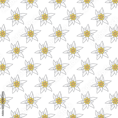 pattern with edelweiss flowers