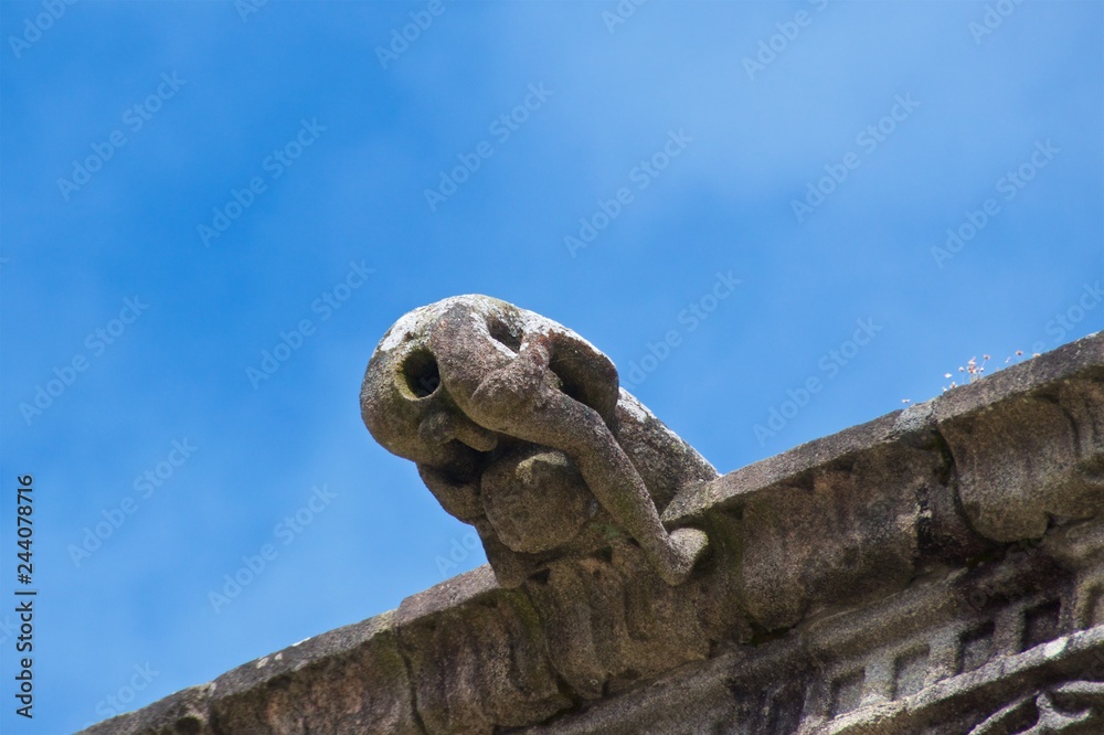 Gargoyle on Santiago de Compostela Hostal dos Reis Catolicos in Spain Gargoyle on Santiago de Compostela Hostal dos Reis Catolicos in Spain