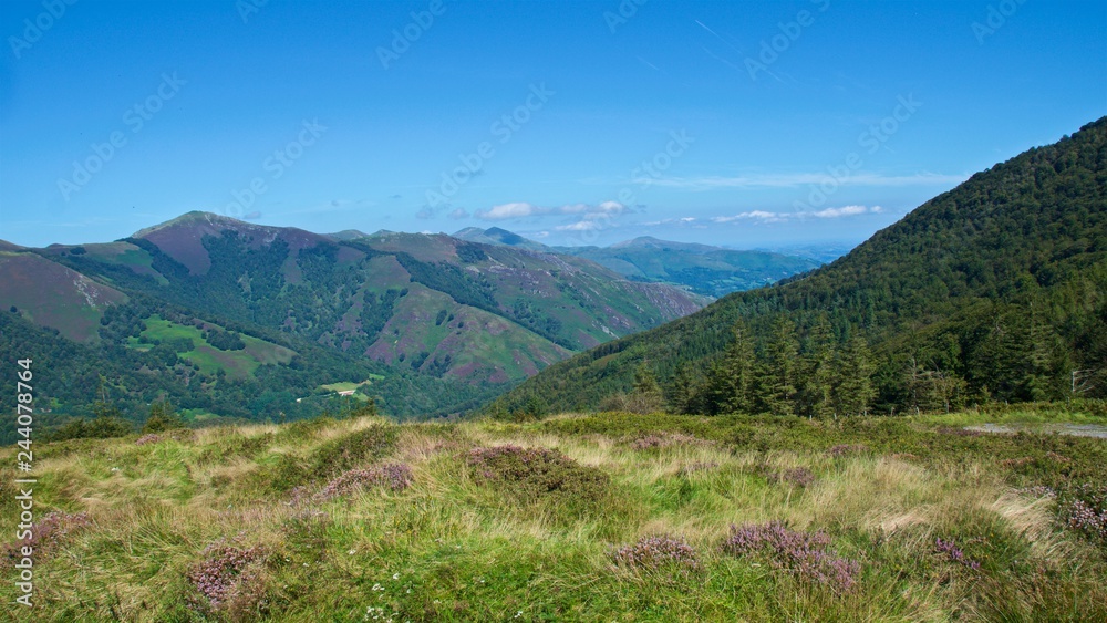 Landscape of the Pyrenees on the Spanish side in Roncesvalles, Spain