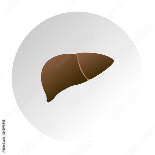 liver unhealthy, human internal organ image, cirrhosis of the liver vector icon