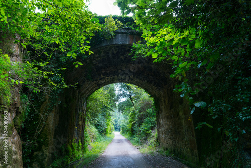 Via Verde Castro - Traslaviña, Otañes, Castro Urdiales Municipality, Cantabria, Spain, Europe photo